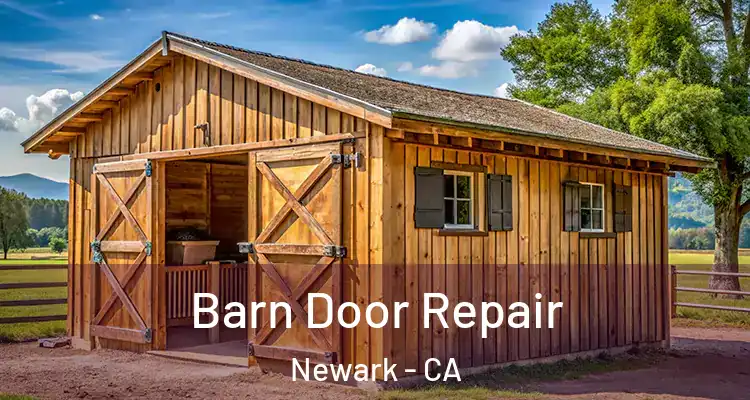  Barn Door Repair Newark - CA