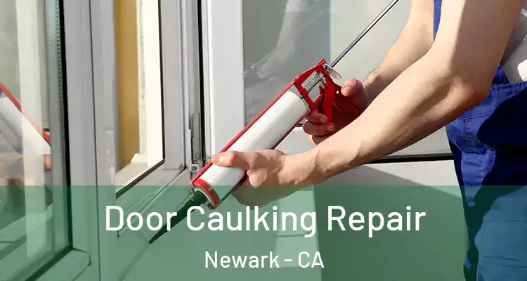  Door Caulking Repair Newark - CA