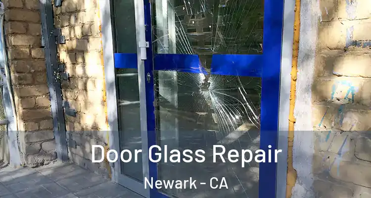  Door Glass Repair Newark - CA