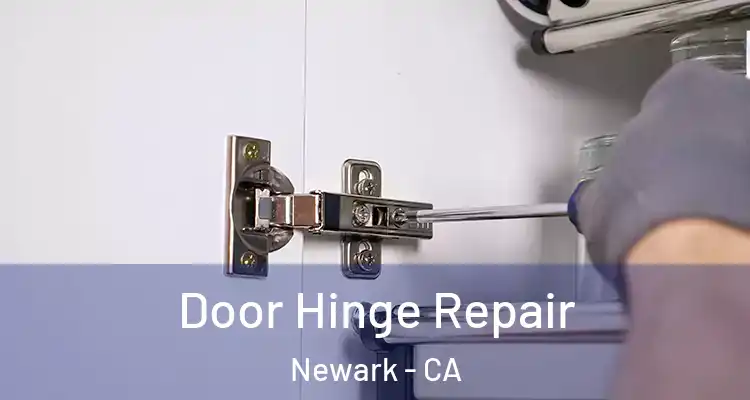  Door Hinge Repair Newark - CA
