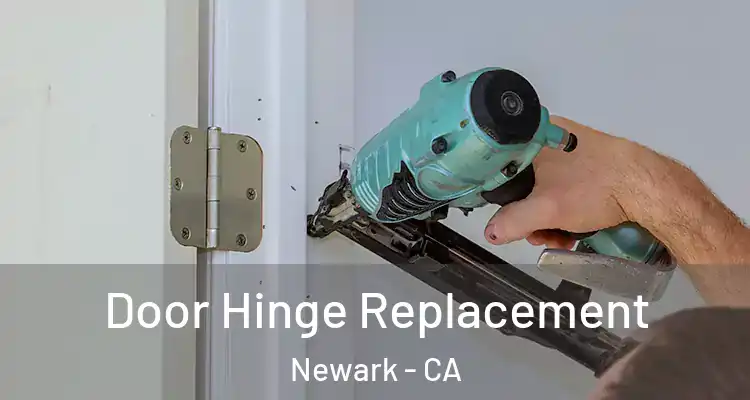  Door Hinge Replacement Newark - CA