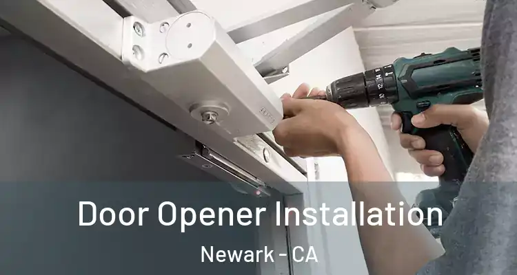  Door Opener Installation Newark - CA
