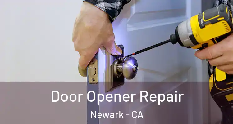  Door Opener Repair Newark - CA