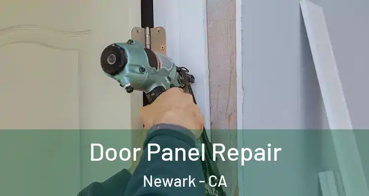  Door Panel Repair Newark - CA