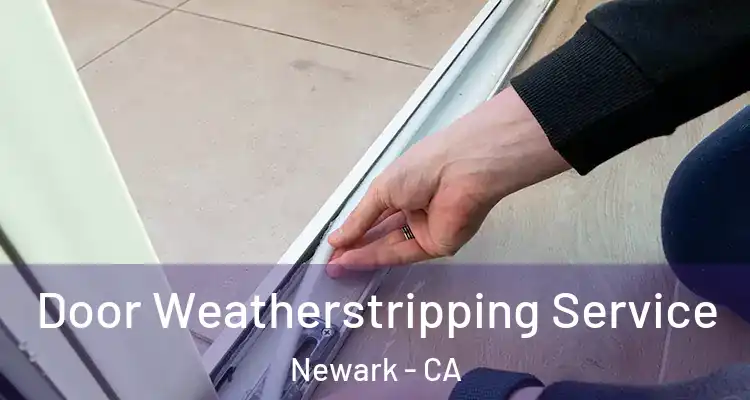  Door Weatherstripping Service Newark - CA