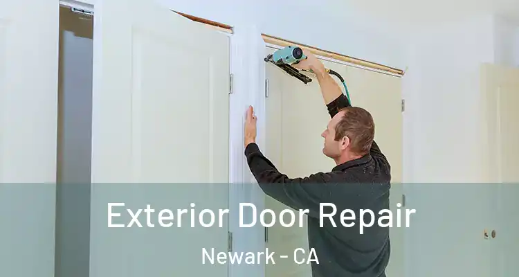  Exterior Door Repair Newark - CA