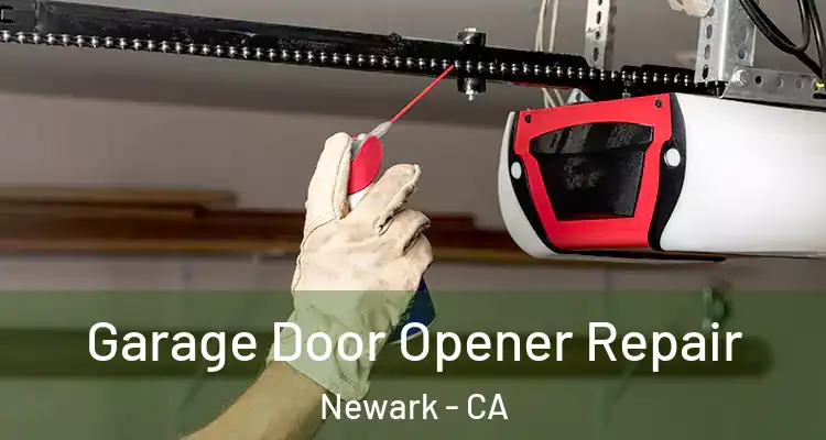  Garage Door Opener Repair Newark - CA