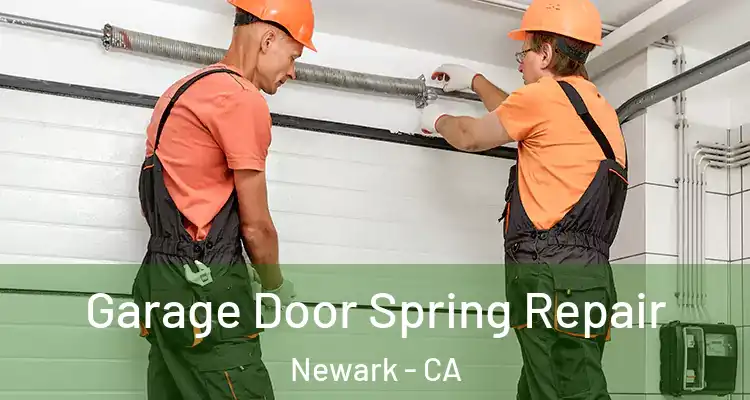  Garage Door Spring Repair Newark - CA