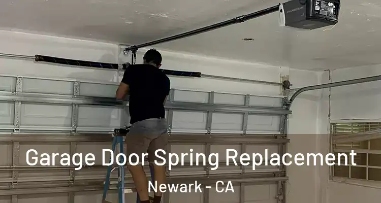 Garage Door Spring Replacement Newark - CA