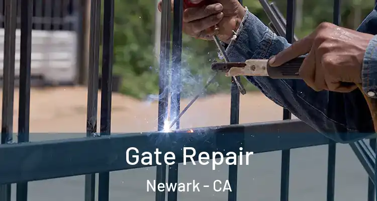  Gate Repair Newark - CA