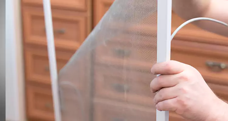 Privacy Mesh Screen Door Installation in Newark, CA
