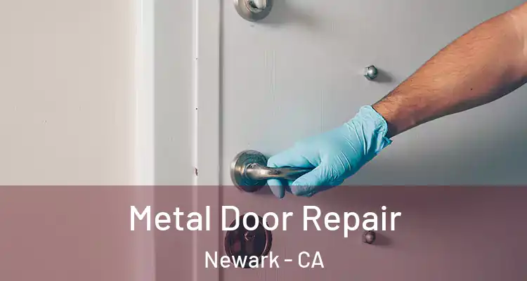  Metal Door Repair Newark - CA