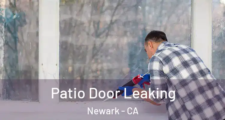  Patio Door Leaking Newark - CA