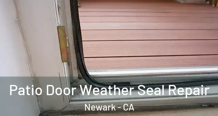  Patio Door Weather Seal Repair Newark - CA