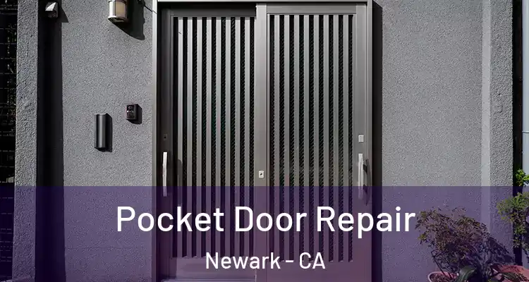  Pocket Door Repair Newark - CA