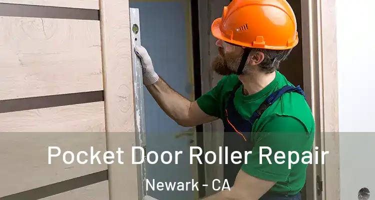  Pocket Door Roller Repair Newark - CA