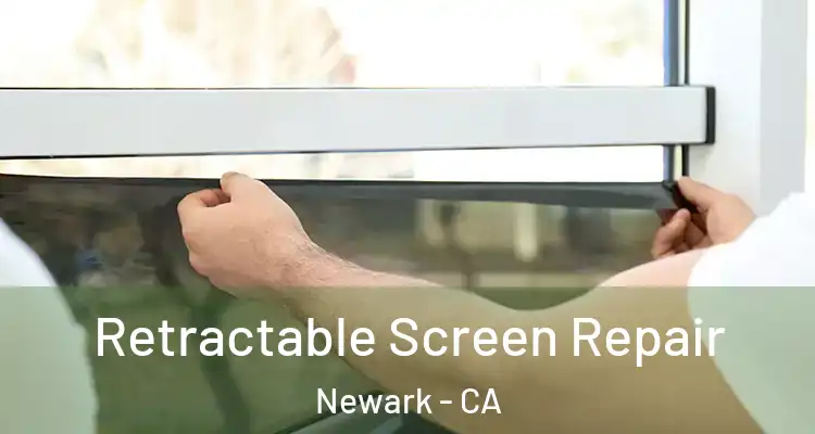  Retractable Screen Repair Newark - CA