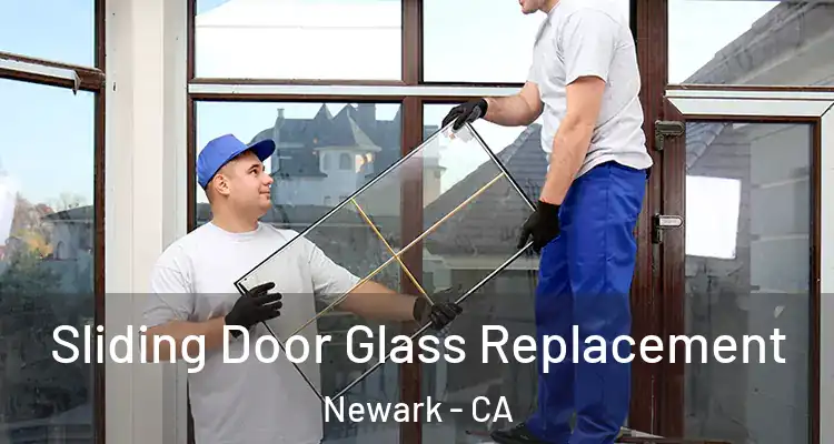  Sliding Door Glass Replacement Newark - CA