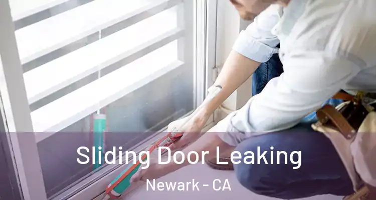  Sliding Door Leaking Newark - CA