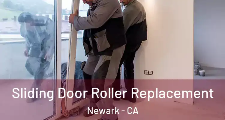  Sliding Door Roller Replacement Newark - CA