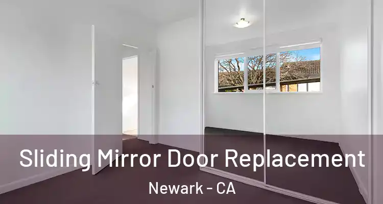  Sliding Mirror Door Replacement Newark - CA