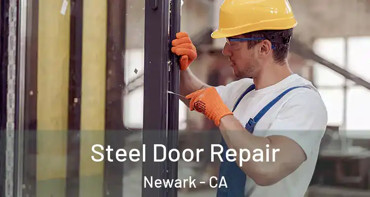  Steel Door Repair Newark - CA