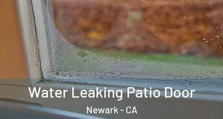  Water Leaking Patio Door Newark - CA