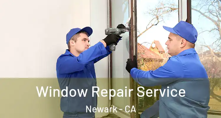  Window Repair Service Newark - CA